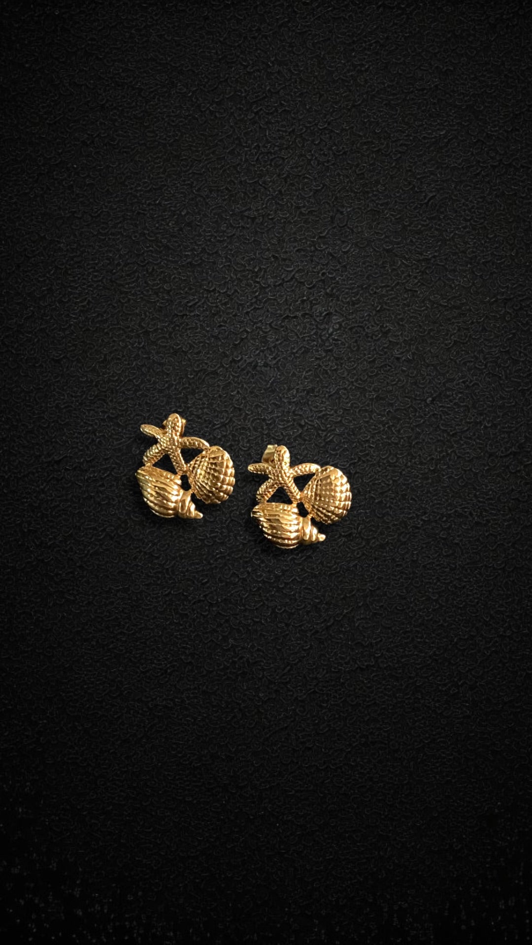 Beach Shell Studs