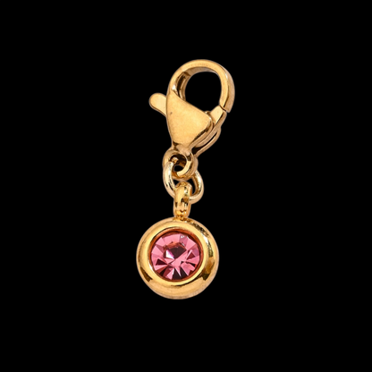 Eazzy Birthstone Charms