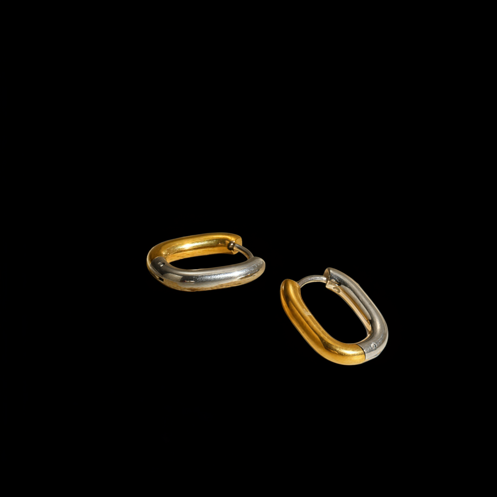 Dual Tone Classic Earrings