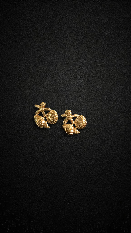 Beach Shell Studs