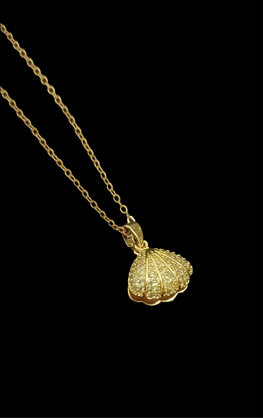 Shell Necklace